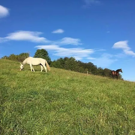 Apartmán Apartma Hisa Konj *