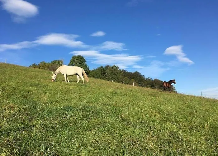 Апартаменты Apartma Hisa Konj *