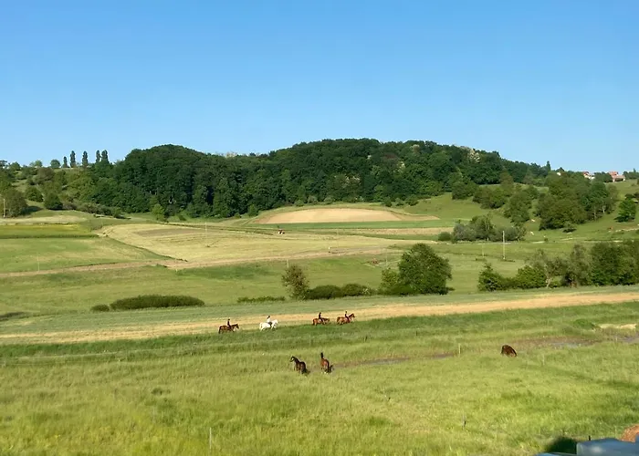 Апартаменты Apartma Hisa Konj *